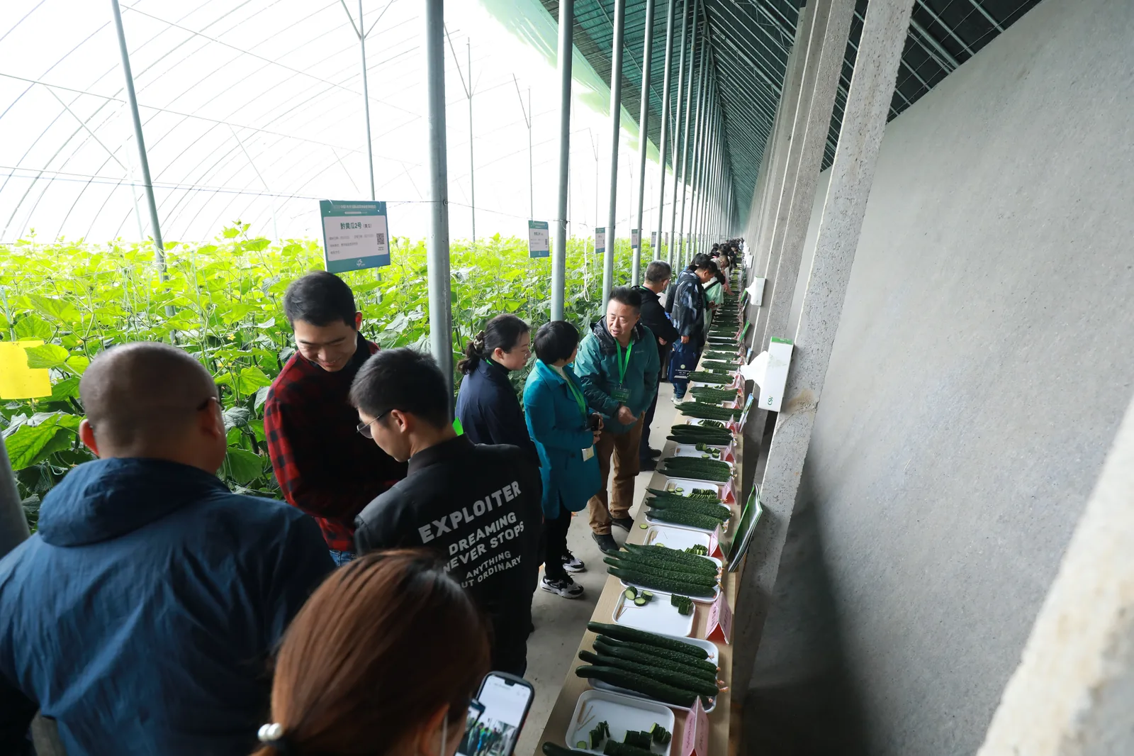 寿光国际蔬菜种业博览会现场