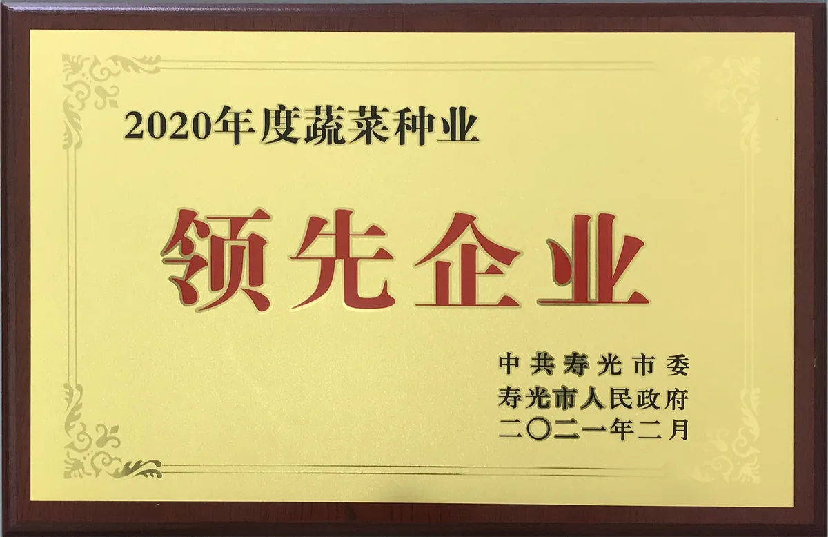 山东寿光蔬菜种业集团-荣誉证书 1-以证书图片为准