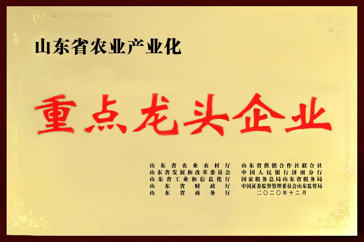 山东寿光蔬菜种业集团-荣誉证书 3-以证书图片为准