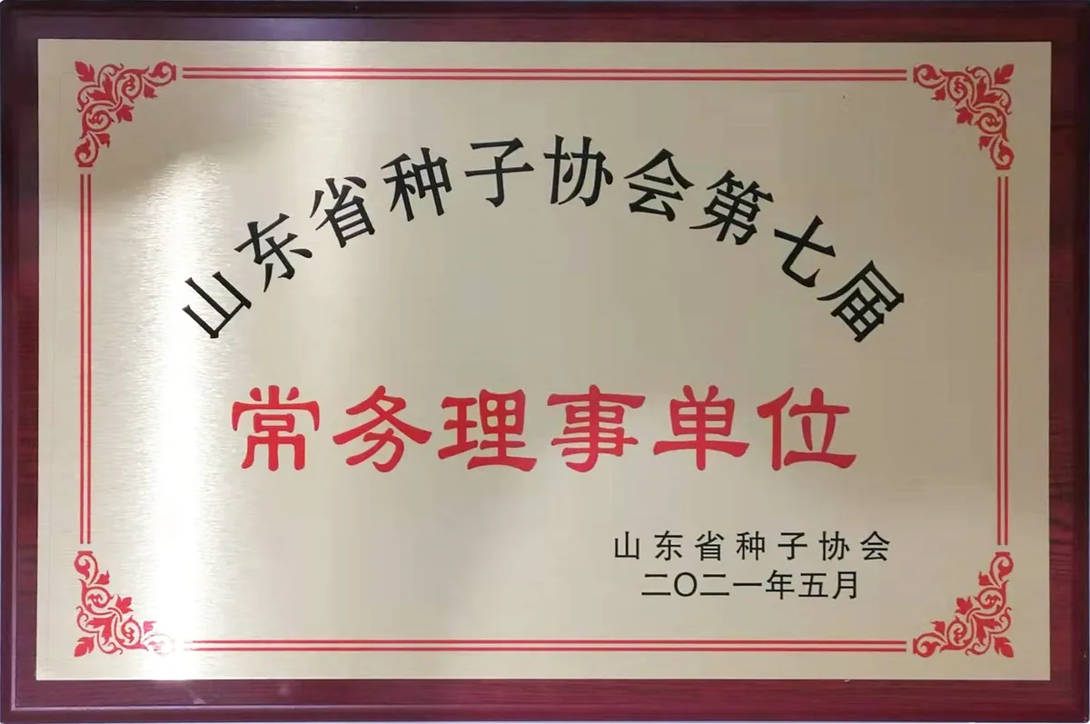 山东寿光蔬菜种业集团-荣誉证书 4-以证书图片为准