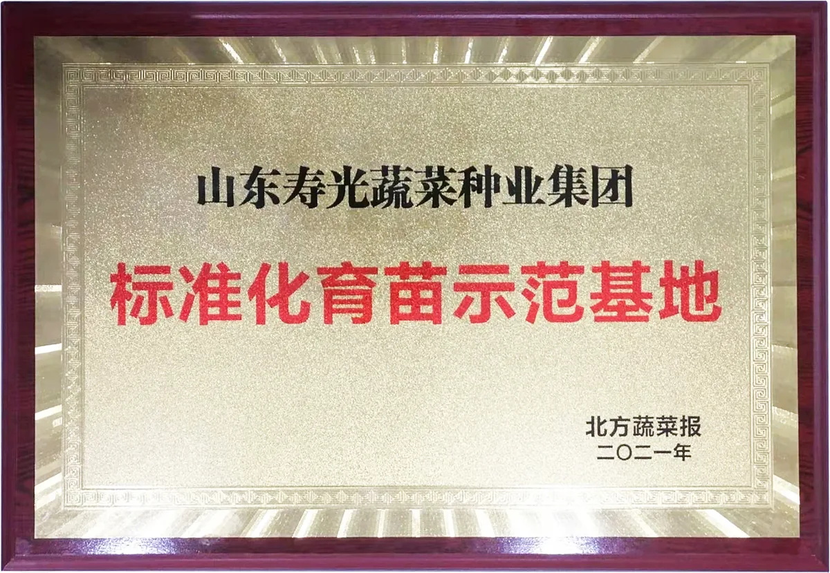 山东寿光蔬菜种业集团-荣誉证书 5-以证书图片为准