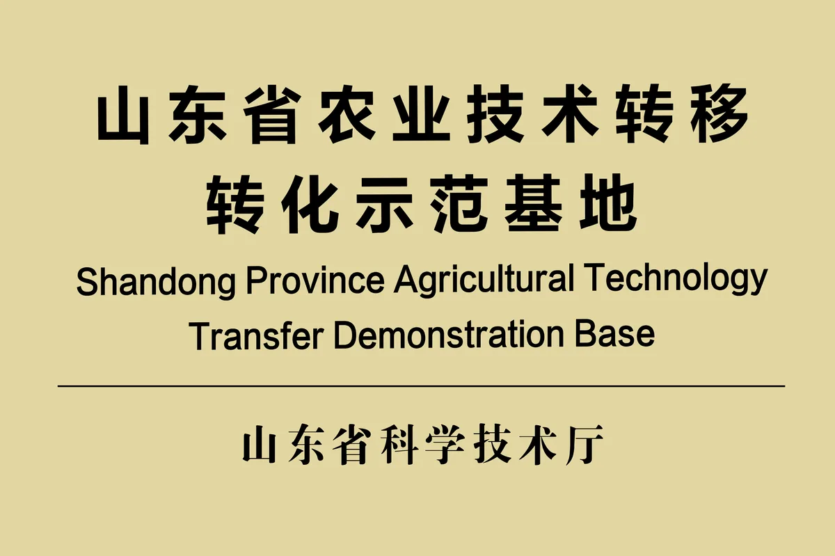 山东寿光蔬菜种业集团-荣誉证书 6-以证书图片为准