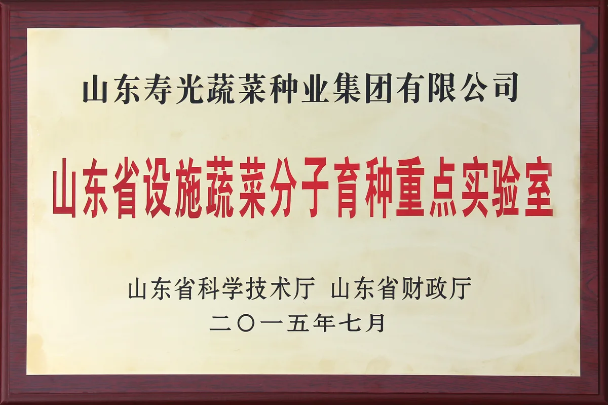 山东寿光蔬菜种业集团-荣誉证书 7-以证书图片为准