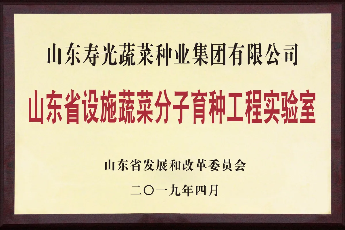 山东寿光蔬菜种业集团-荣誉证书 8-以证书图片为准