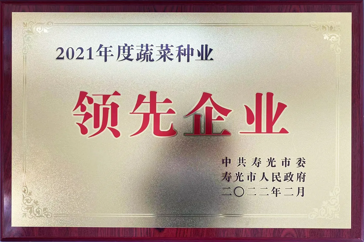 山东寿光蔬菜种业集团-行业表彰-以证书图片为准