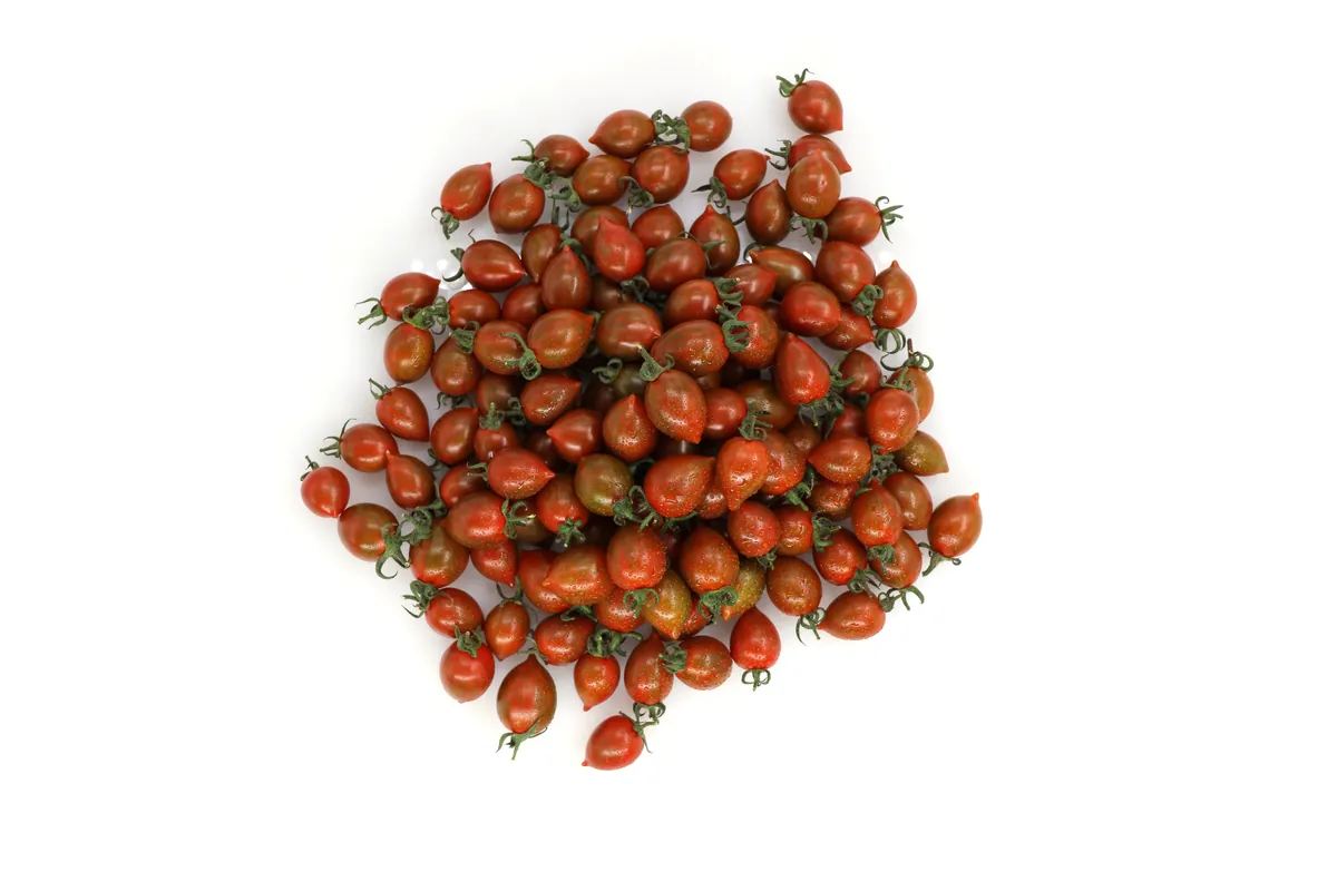 觅彩灵珠 - 寿光蔬菜种业樱桃番茄品种